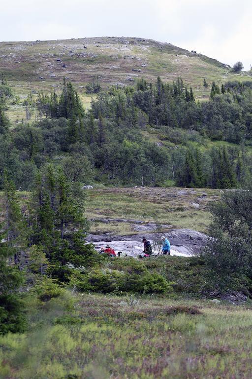 Hotel Valadalens Fjaellstation Exteriér fotografie